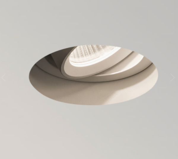 Trimless Round Adjustable LED